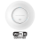 Access Point 