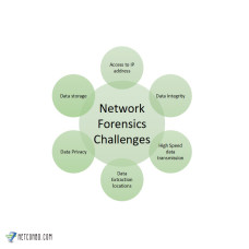 Forensic Solutions