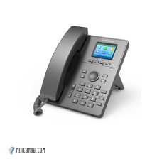 FLYINGVOICE P11-Color Screen Entry-Level IP Phone 