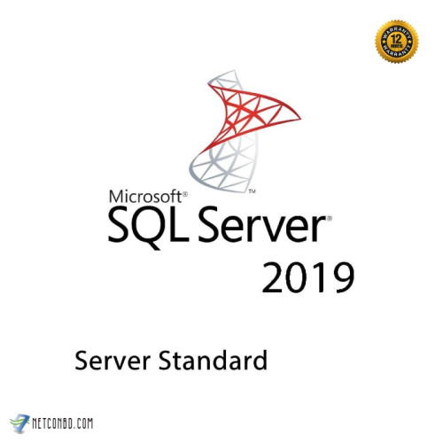 Microsoft SQL Server Standard 2019 